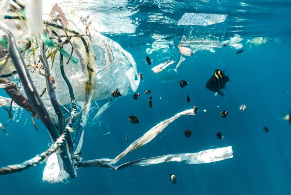 Marketing to Eco-Conscious Audiences